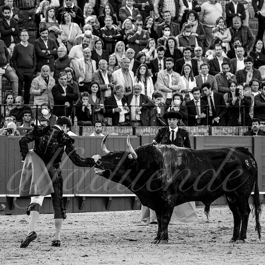 20220428 sevilla 014