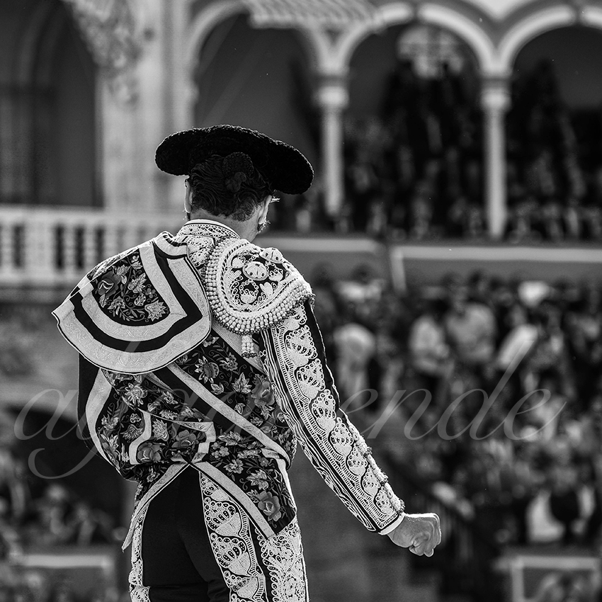 20220429 sevilla 005