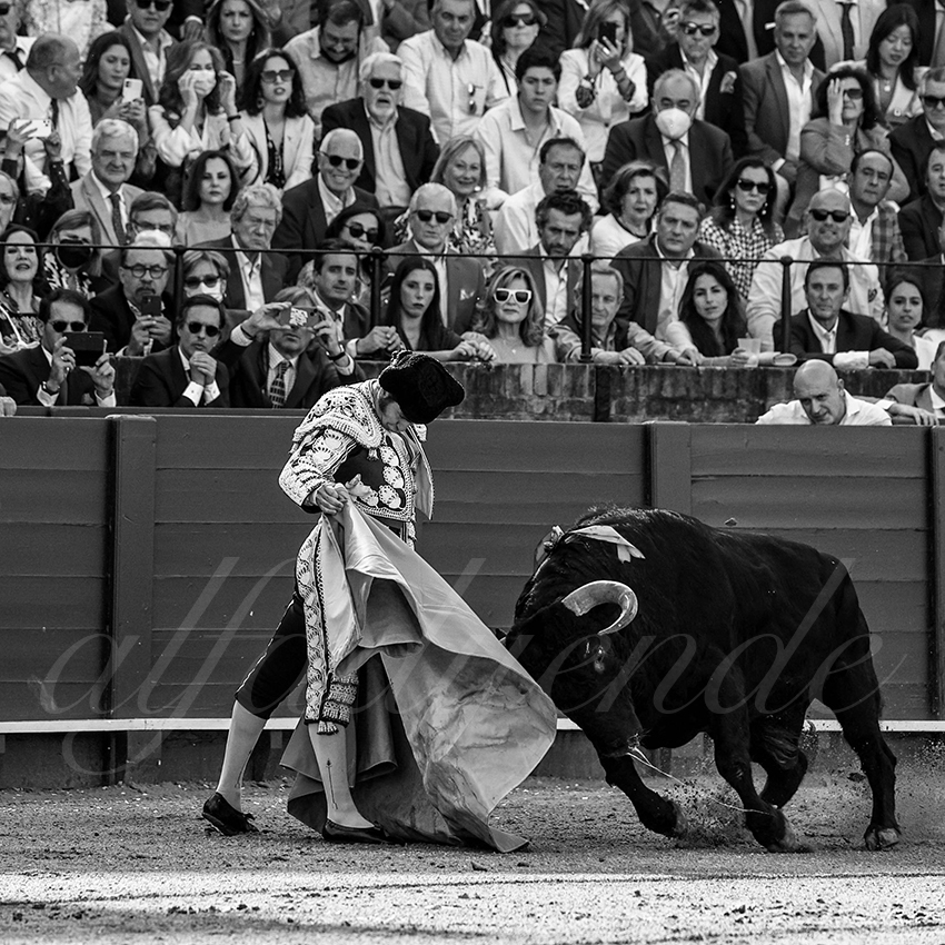 20220429 sevilla 006