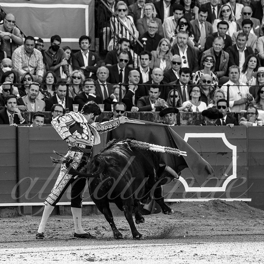 20220429 sevilla 009