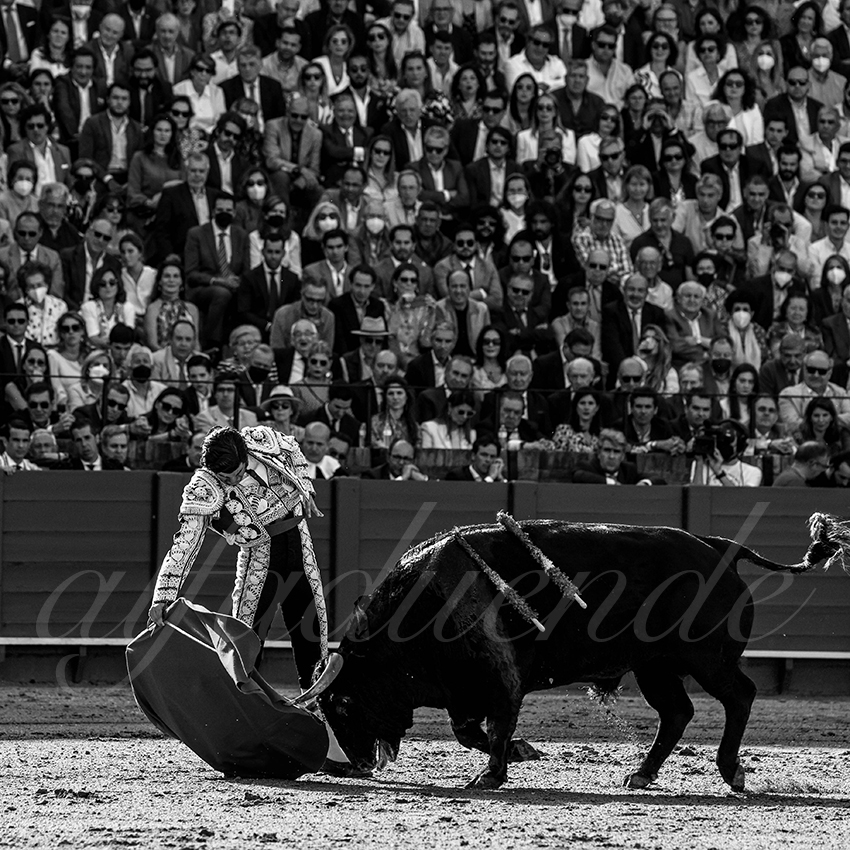 20220429 sevilla 010