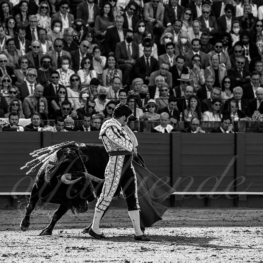 20220429 sevilla 011