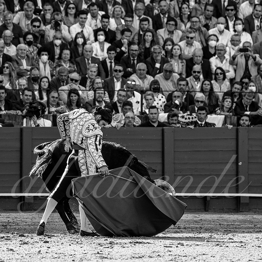 20220429 sevilla 013