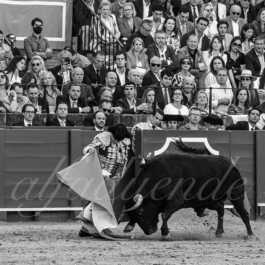 20220429 sevilla 014