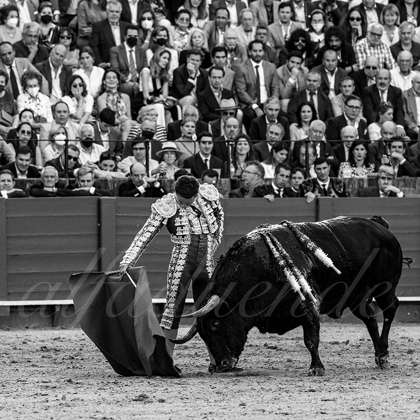 20220429 sevilla 015