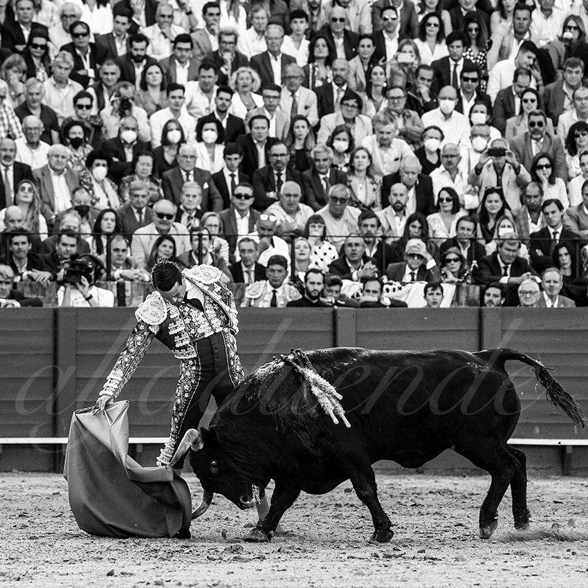 20220429 sevilla 018