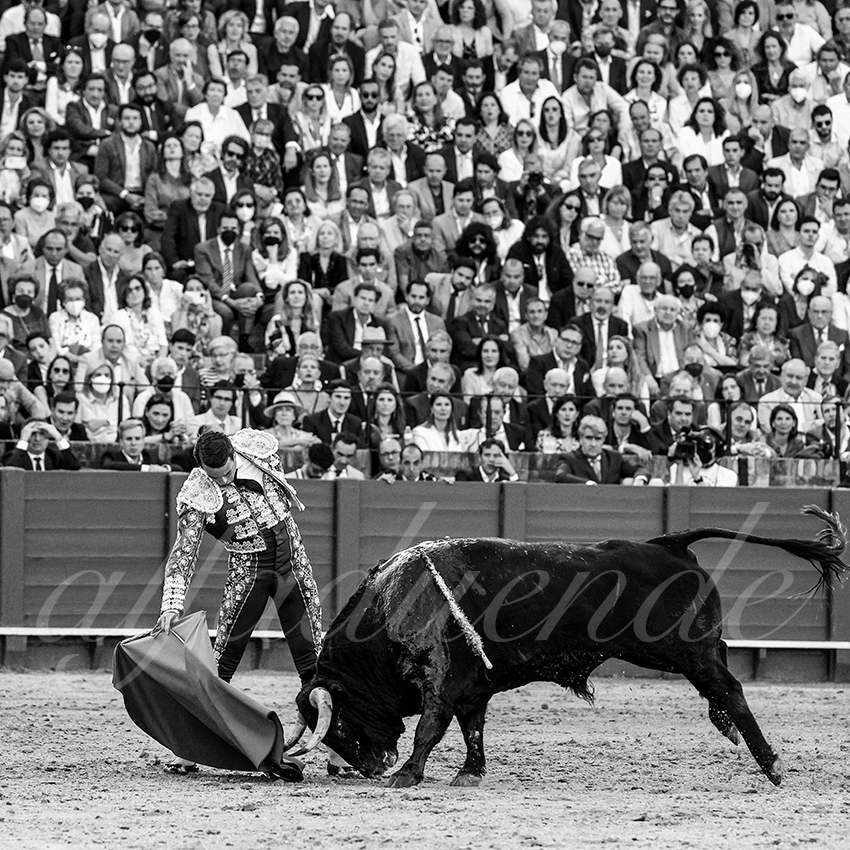 20220429 sevilla 019