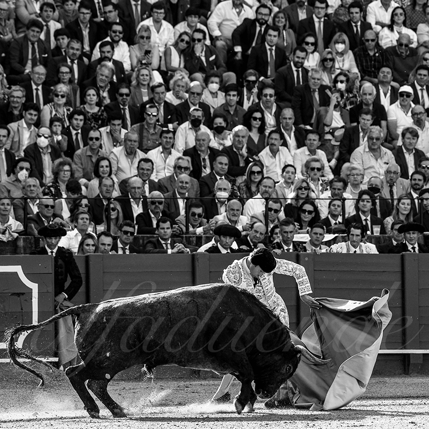 20220430 sevilla 004