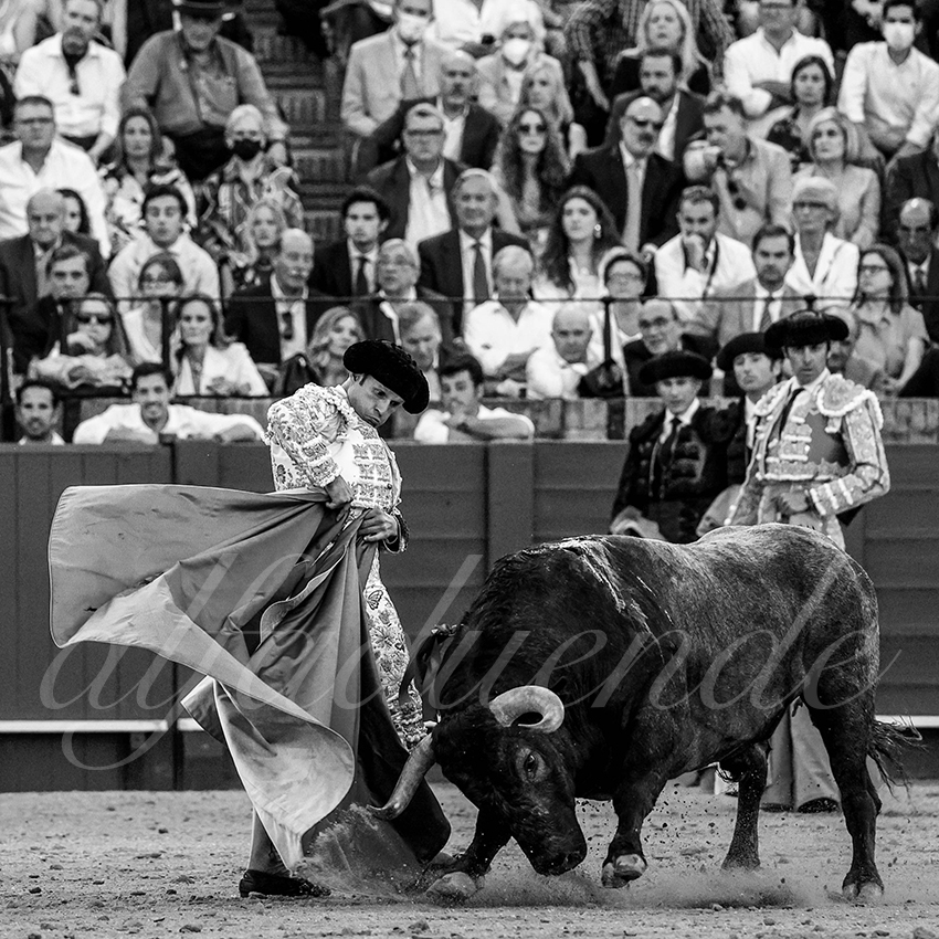 20220430 sevilla 005