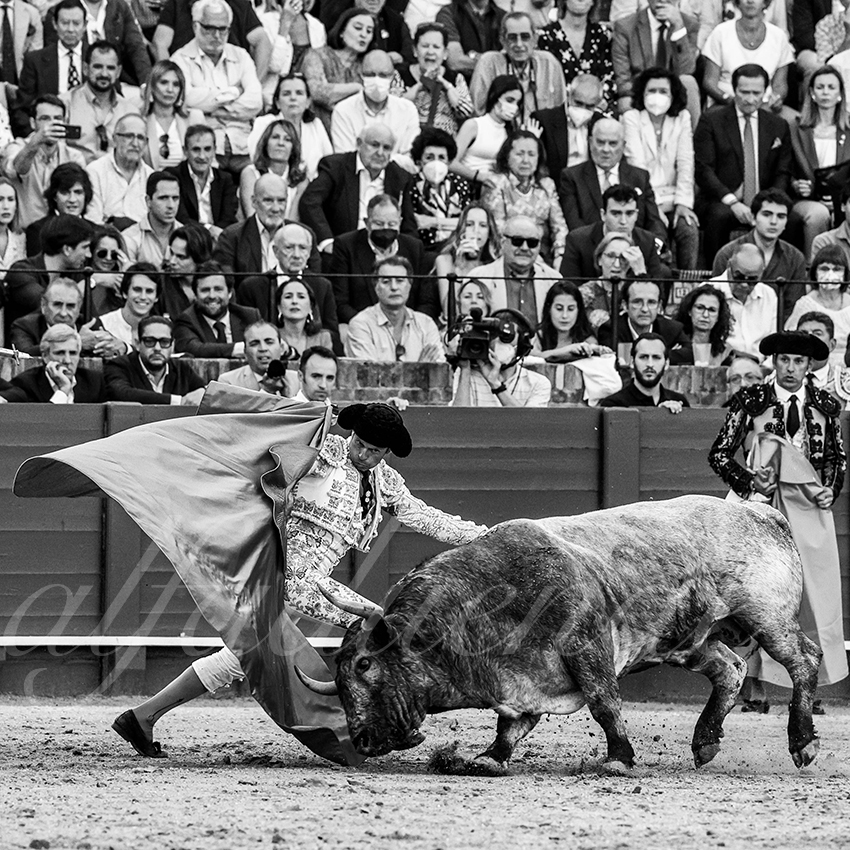 20220430 sevilla 007