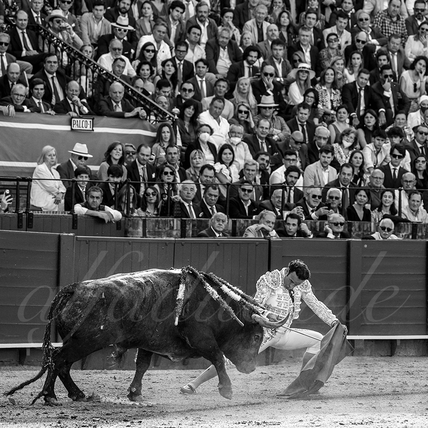 20220430 sevilla 008