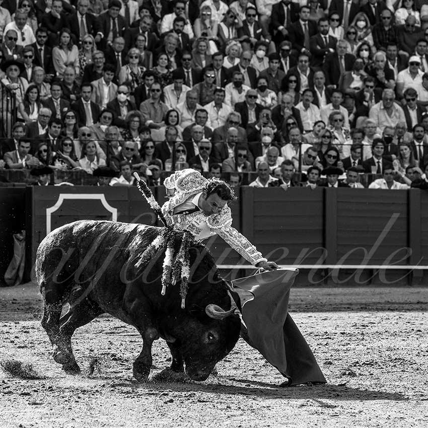 20220430 sevilla 009