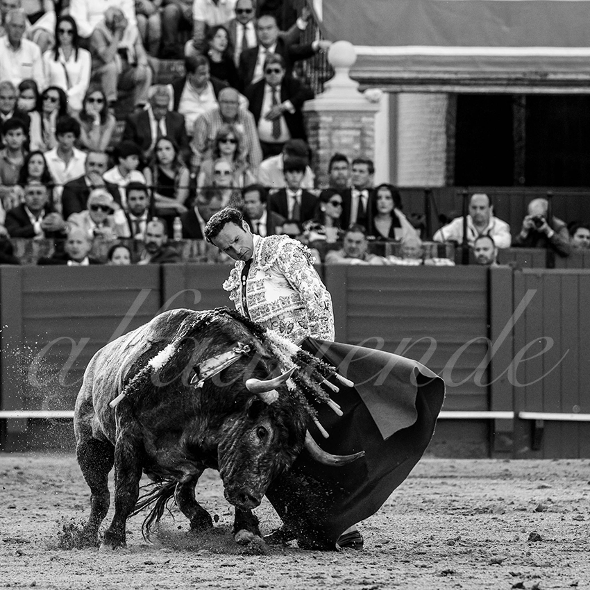 20220430 sevilla 010