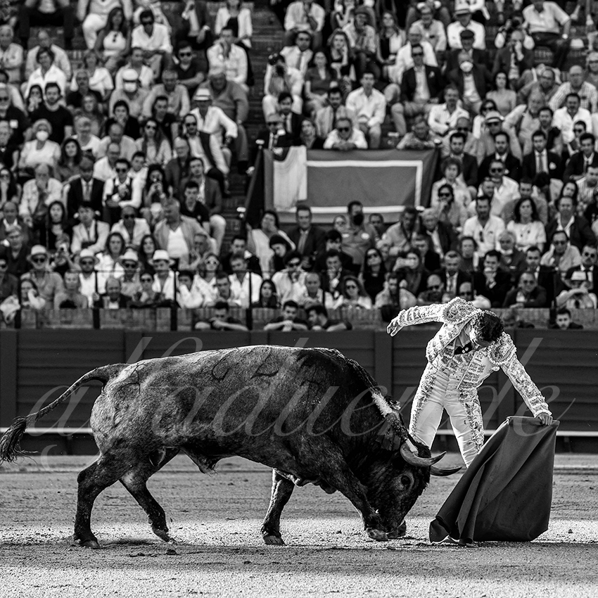 20220430 sevilla 011