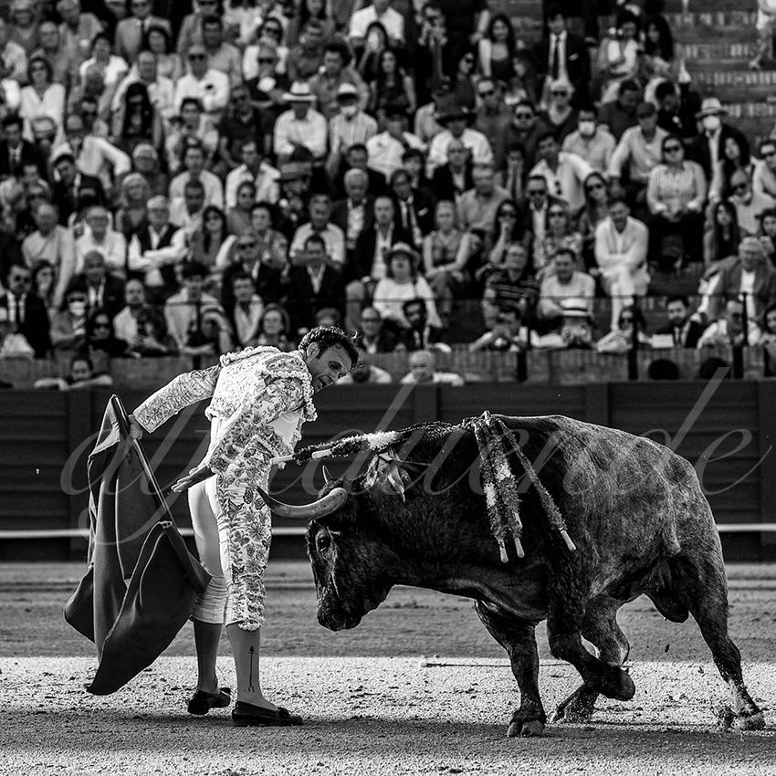 20220430 sevilla 012