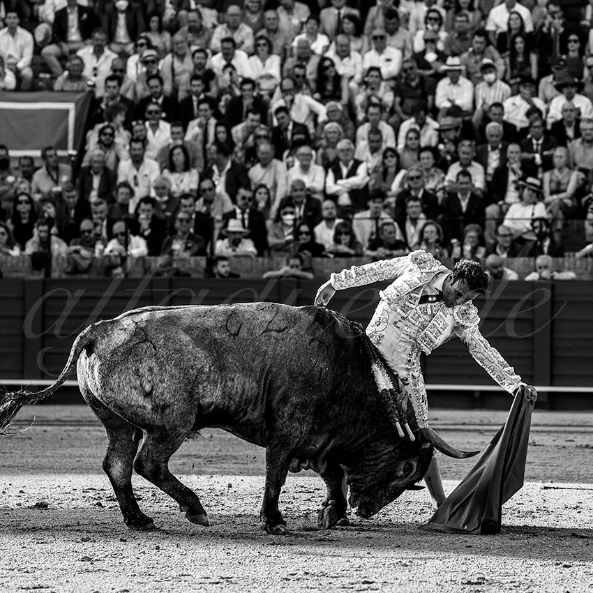 20220430 sevilla 013