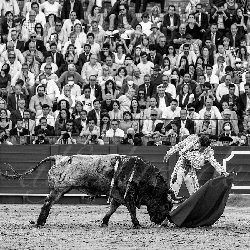 20220430 sevilla 015