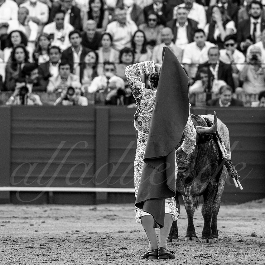 20220430 sevilla 016