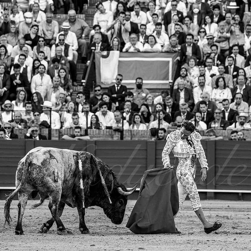 20220430 sevilla 018