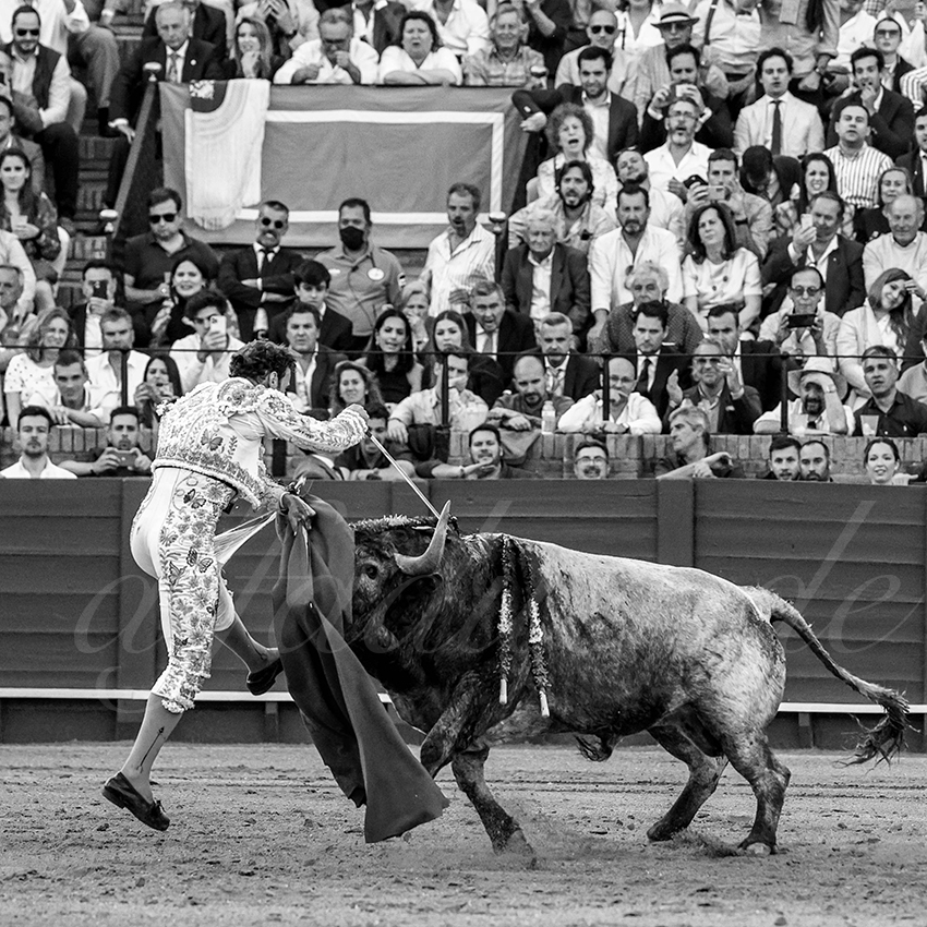 20220430 sevilla 021