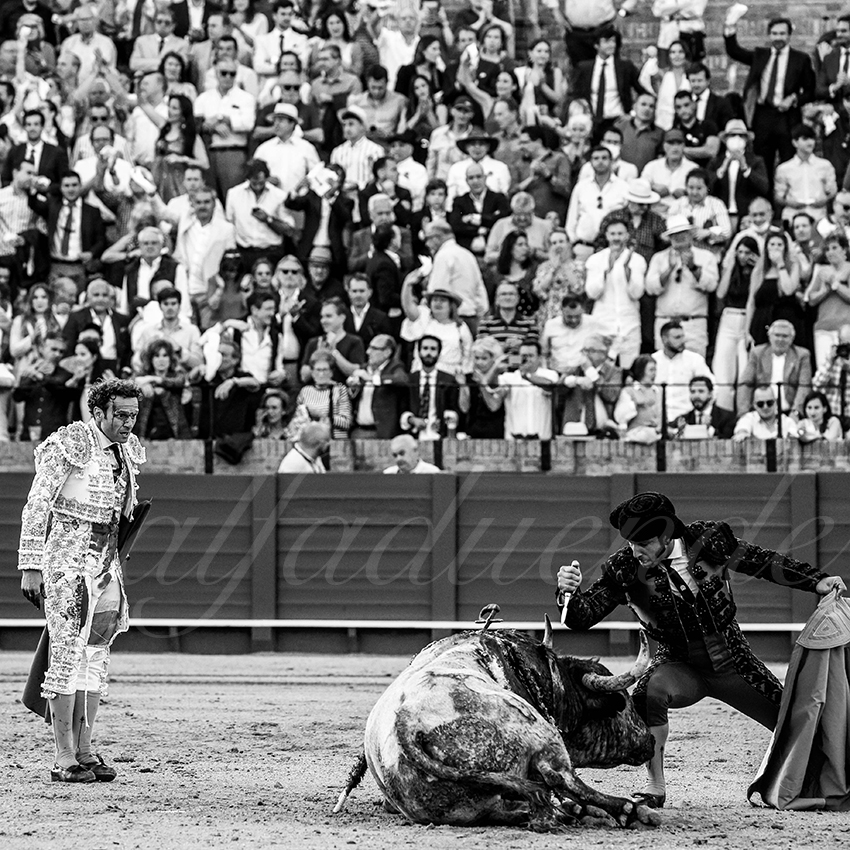 20220430 sevilla 022