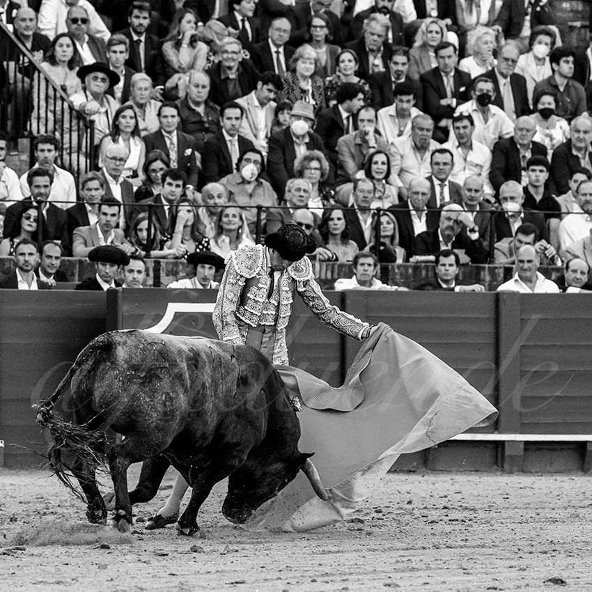 20220430 sevilla 023