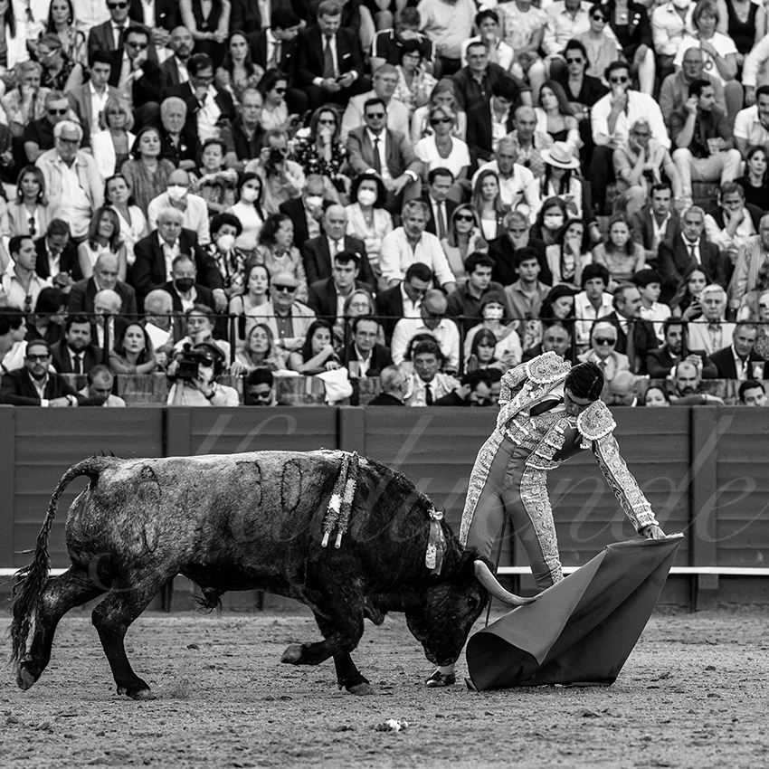 20220430 sevilla 025