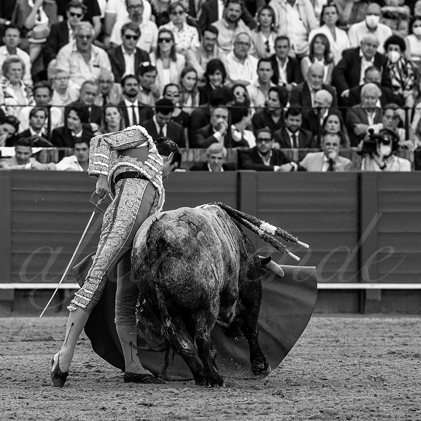 20220430 sevilla 026