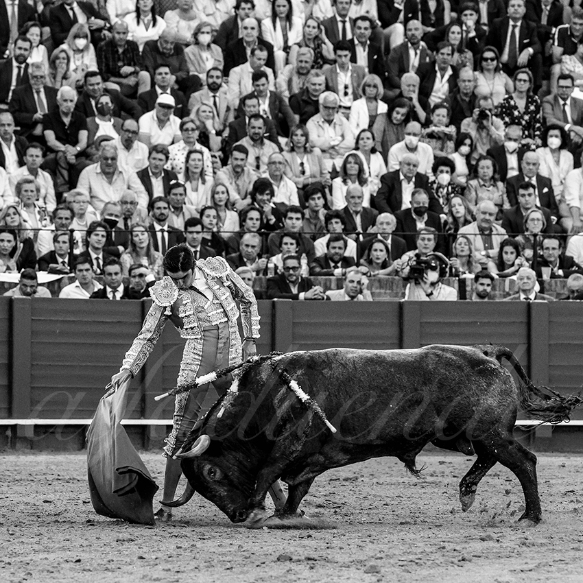 20220430 sevilla 027