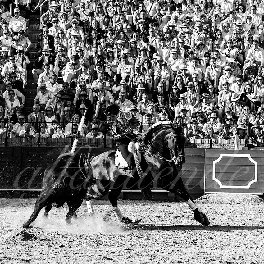 20220501 sevilla 022