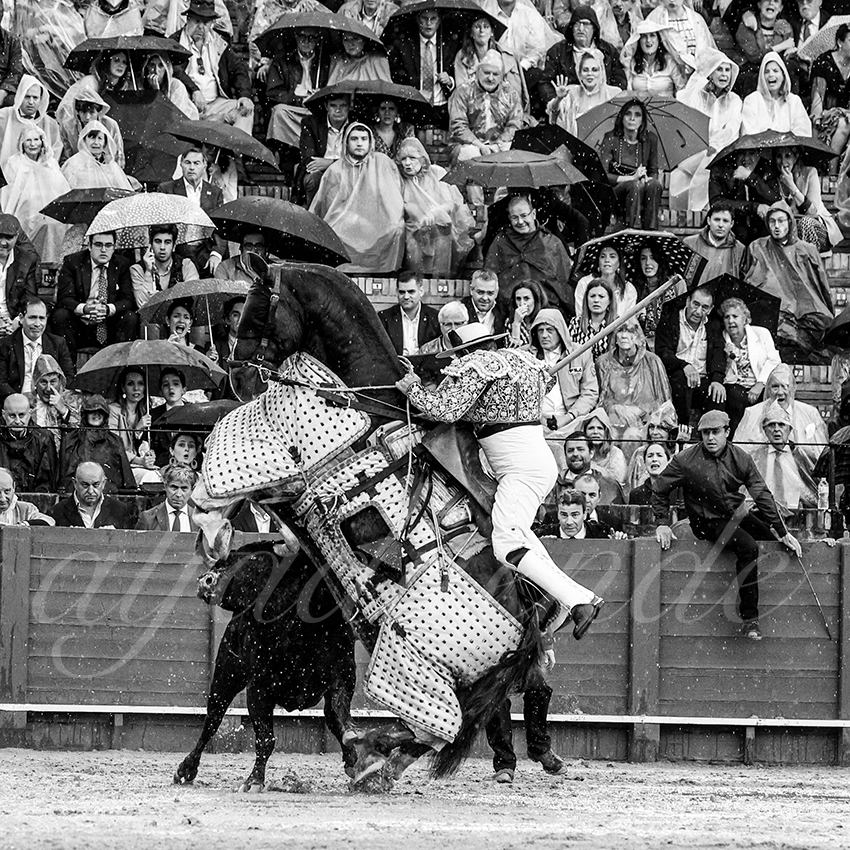 20220502 sevilla 006