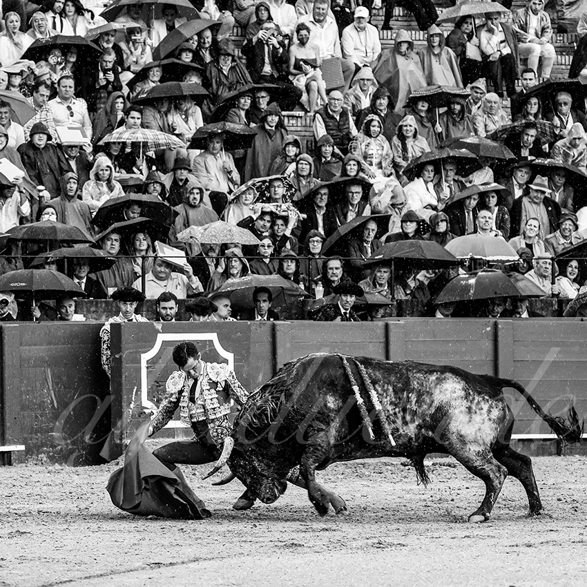 20220502 sevilla 007