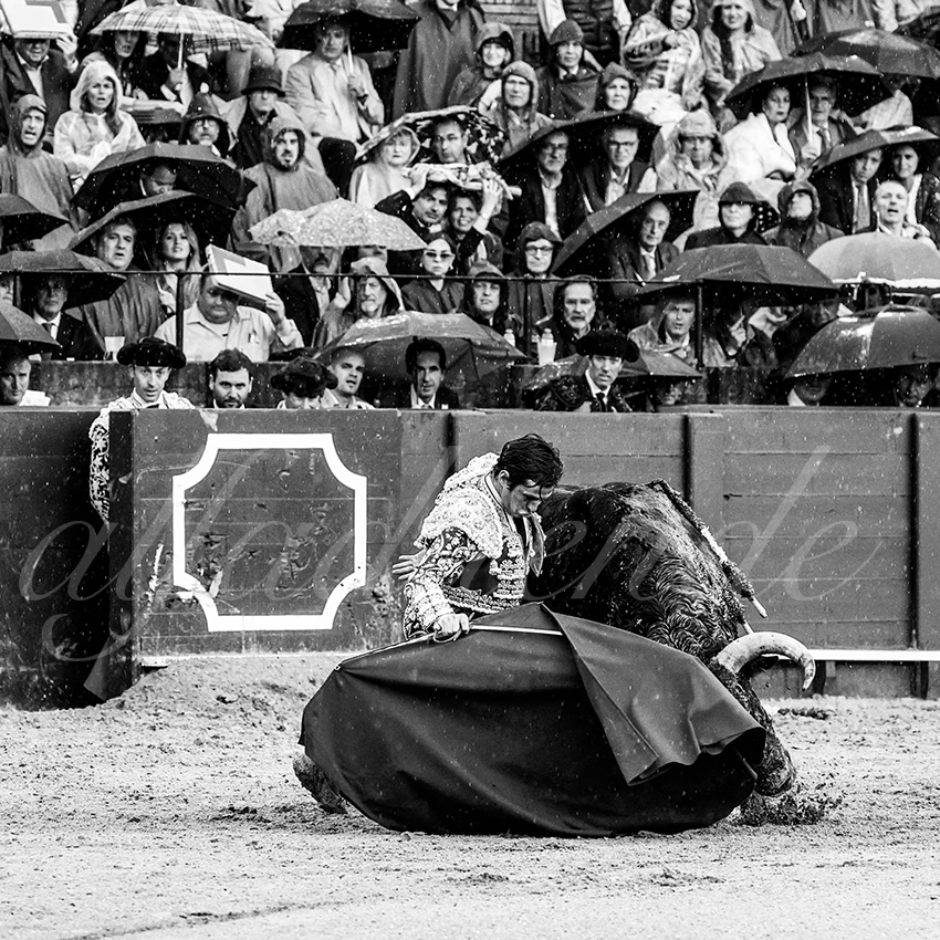 20220502 sevilla 008