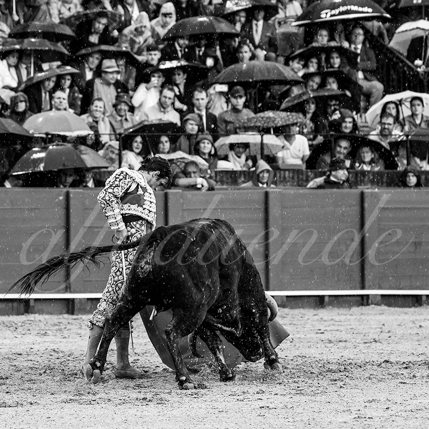 20220502 sevilla 009