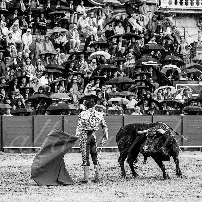 20220502 sevilla 010