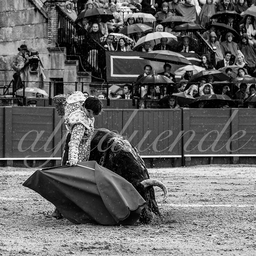 20220502 sevilla 013