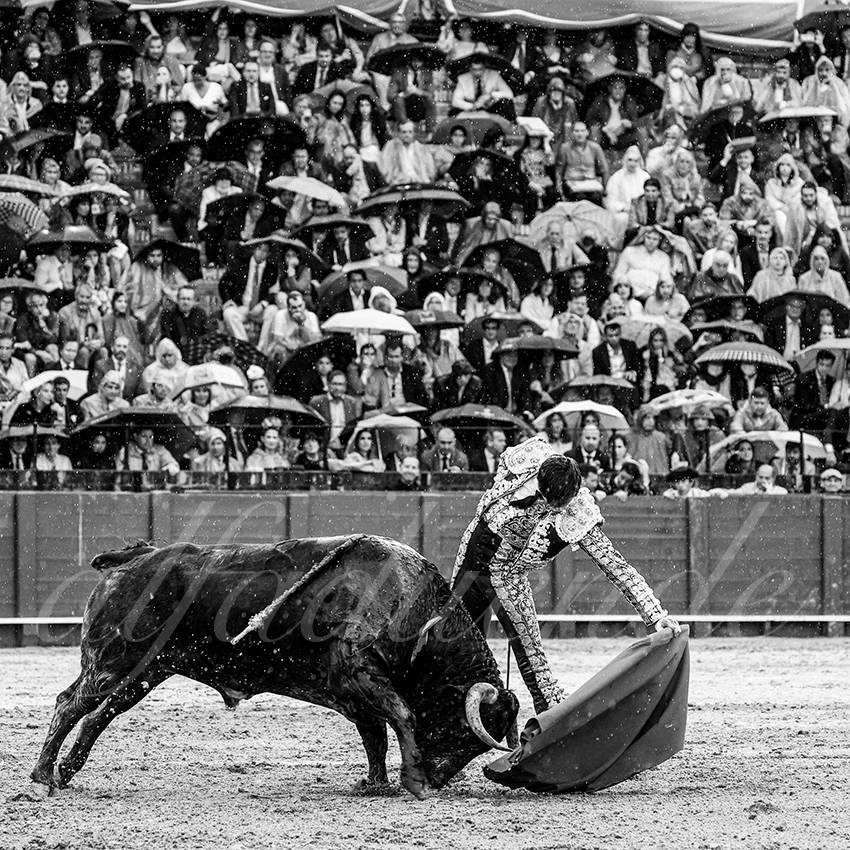 20220502 sevilla 014