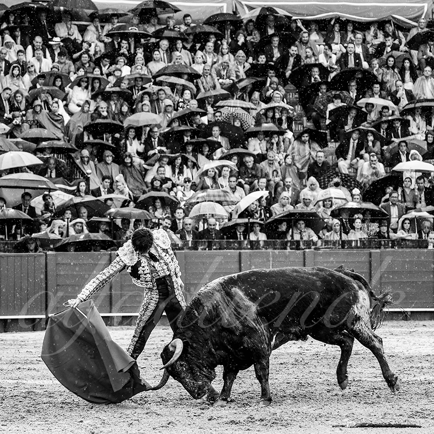 20220502 sevilla 015