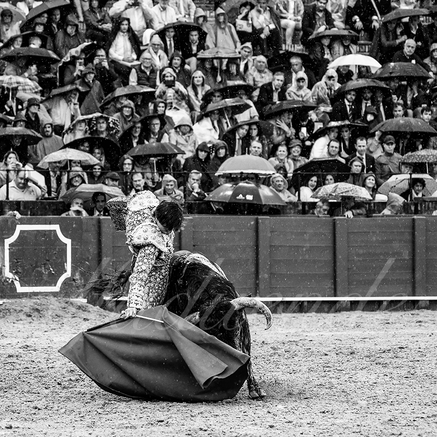 20220502 sevilla 016