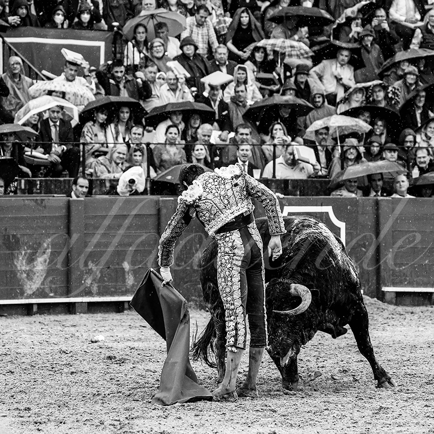 20220502 sevilla 018