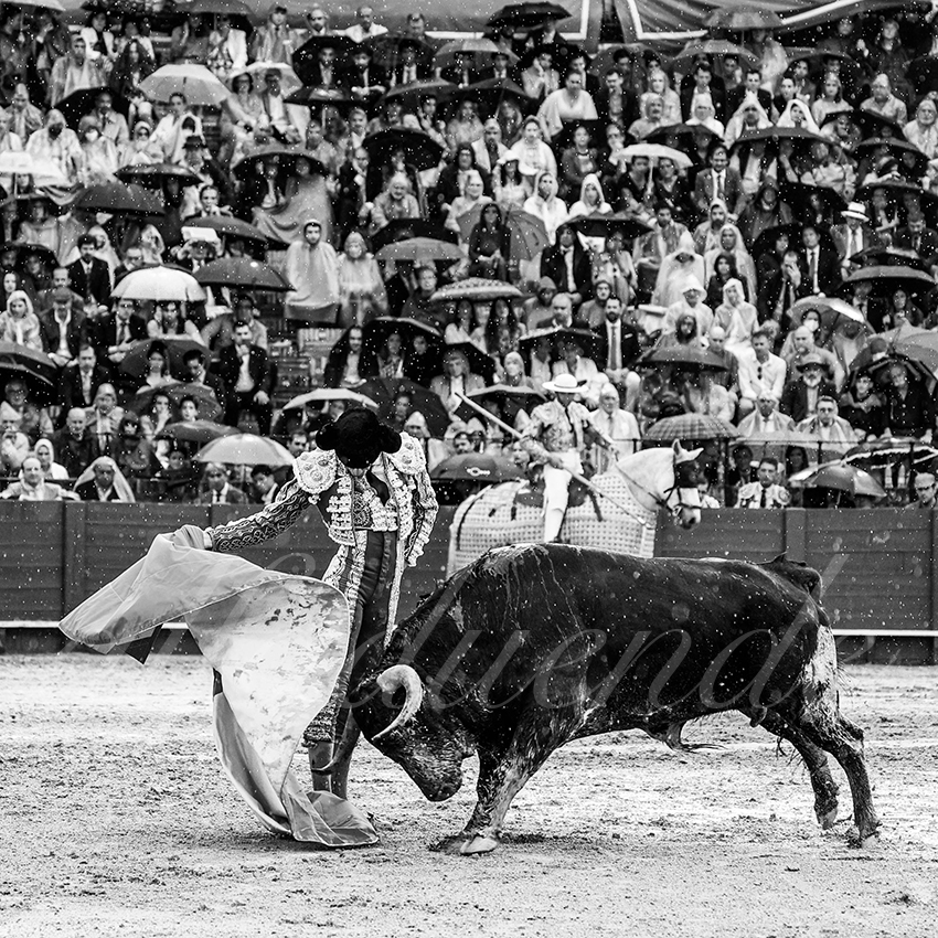 20220502 sevilla 021