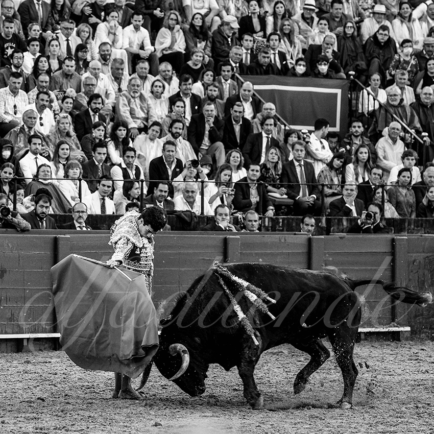 20220502 sevilla 023