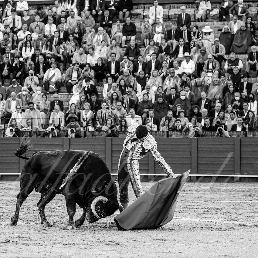 20220502 sevilla 024