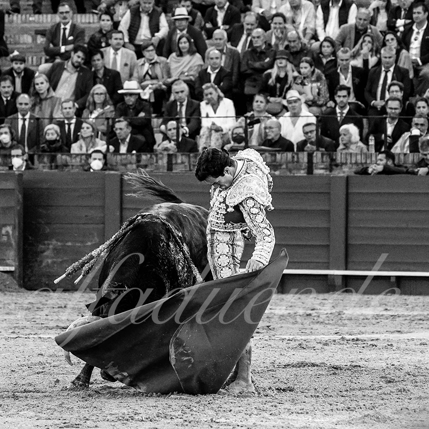 20220502 sevilla 025