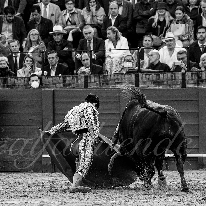 20220502 sevilla 026