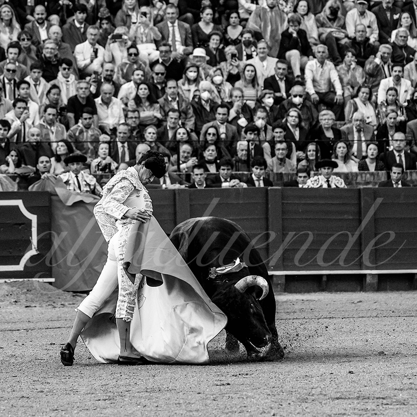 20220503 sevilla 007