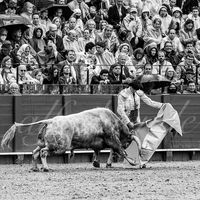 20220503 sevilla 008