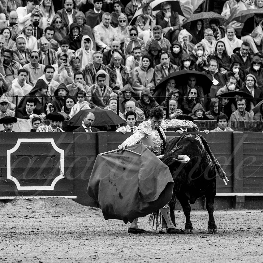 20220503 sevilla 009