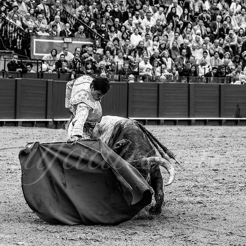 20220503 sevilla 011