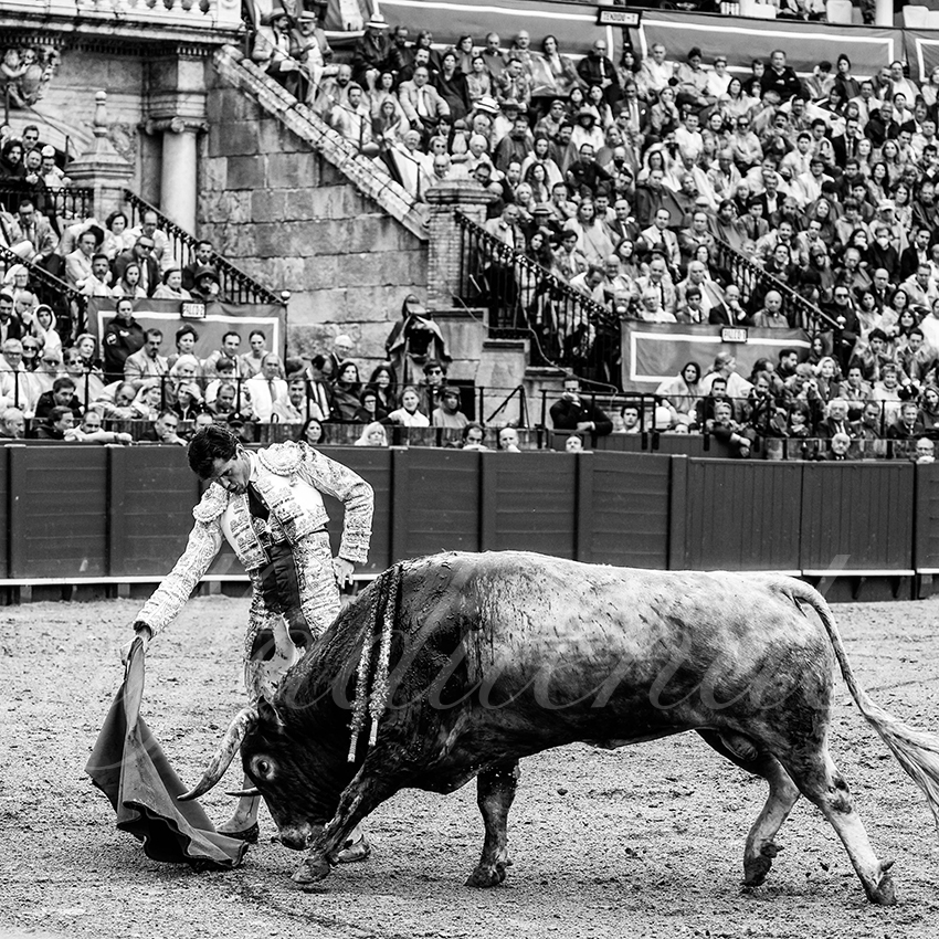 20220503 sevilla 012